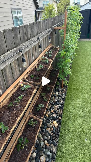 DIY.COOKING.MOMLIFE.DECOR.FASHION on Instagram: "I truly love gardening. Adding these strawberries is one of my favorite additions ❤️ tip: get ever-bearing strawberries 🍓 they will produce more/longer @walmart    #strawberry #strawberries #strawberries🍓  #planting #backyard #fence #basket  #summer #fruit #red #besthusbandever #diy #diydecor #diyideas #diyhome  #pnw #sunshine #washington #oregon #gardening #garden #fruit #miraclegro" Strawberry Fence, Strawberry Planter Ideas Diy, Hanging Strawberry Planter Ideas, Strawberry Patch Garden, Strawberry Patch Ideas, Hanging Strawberry Plants, Strawberries Planting, Strawberries In Raised Beds, Strawberry Garden Ideas