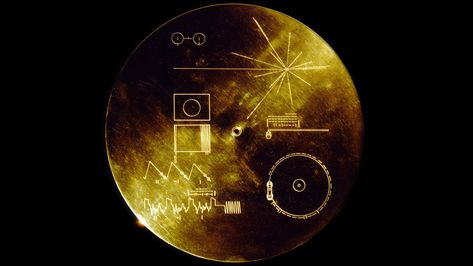 round gold-colored decor #discs #gold #space Voyager Golden Record sound of the earth #4K #wallpaper #hdwallpaper #desktop Voyager Golden Record, Voyager Spacecraft, Hg Wells, Golden Record, Alien Species, Space Probe, Thought Experiment, Carl Sagan, Top Universities