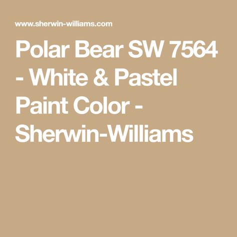 Polar Bear SW 7564 - White & Pastel Paint Color - Sherwin-Williams Bear Paint Colors, Polar Bear Paint, Pastel Paint Colors, Sherman Williams, White Paint Color, Pastel Paint, Lace Painting, Bear Paintings, White Pastel