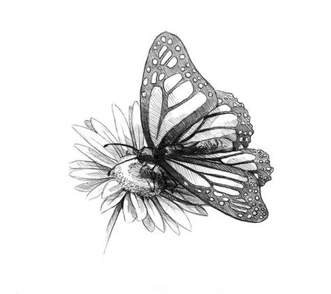 ... Butterfly Landing, Black Butterfly Tattoo, New Drawing, Butterfly Drawing, Black Butterfly, Sketch Art, Butterfly Tattoo, Lotus Flower Tattoo, Land Scape