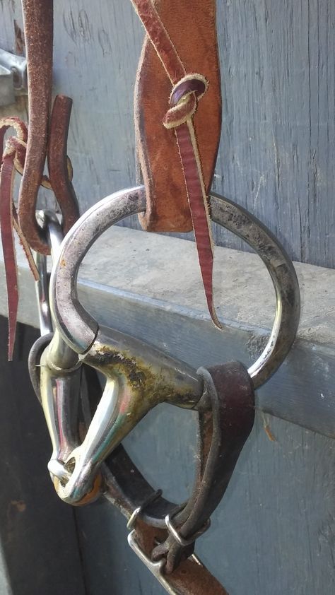 Bits 101: Western Snaffle Basics | Equestrian Writer Western Bridles, Horse Exercises, Tack Shop, Snaffle Bit, Saddle Accessories, Western Tack, Riding Lessons, Horse Logo, Bridles