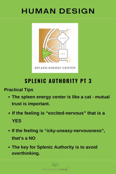 Click to learn about the Human Design Splenic Authority Type | "Authority" in Human Design tells us how we gain clarity to make decisions. | There are 7 different authority types in Human Design | Knowing your authority type can offer you strategies for decision making - especially BIG decisions | Self-awareness | Living Authentically | Coaching guidance Splenic Authority, Over Analyzing, What Is Human, Human Design System, Spiritual Manifestation, Like A Cat, Discovery Call, Zoom Call, Authentic Living