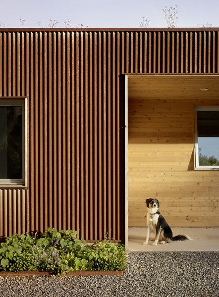 #TurnbullGriffinHaesloop #exterior #corten  Photo 14 of Cloverdale Residence modern home Corrugated Metal Wall, Corrugated Metal Siding, Austin House, Steel Siding, Corrugated Metal Roof, Corrugated Roofing, Architect Drawing, Living Roofs, Metal Cladding