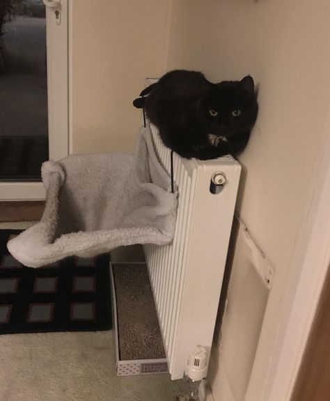 For when the radiator bed just isnt hot enough.... Radiator Aesthetic, Heater Aesthetic, Radiator Bed, Cat Makeup Halloween, Tattoo Cat, Cats Funny, Cat Makeup, Cath Kidston, About Cats