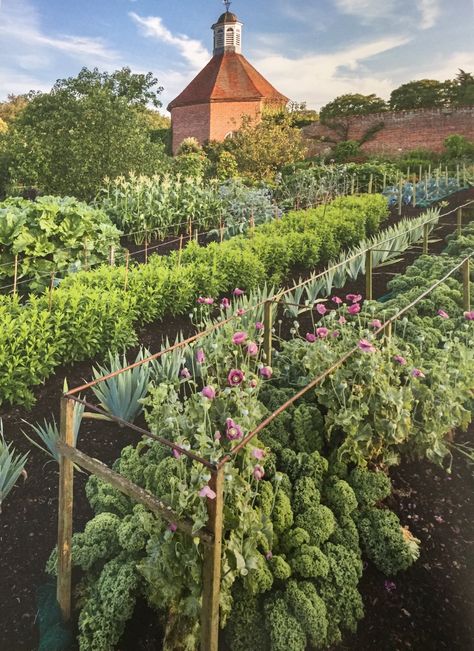 English Country Vegetable Garden, Walled Kitchen Garden, English Kitchen Garden, English Vegetable Garden, Vegetable Garden Aesthetic, Plants In House, German Garden, Communal Garden, Vintage Decorating Ideas