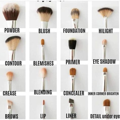 Types Of Makeup Brushes, Makeup Brush Uses, Membentuk Alis, Bentuk Alis, Brush Guide, Mekap Mata, Makeup Order, Makeup Brushes Guide, Makeup Tip