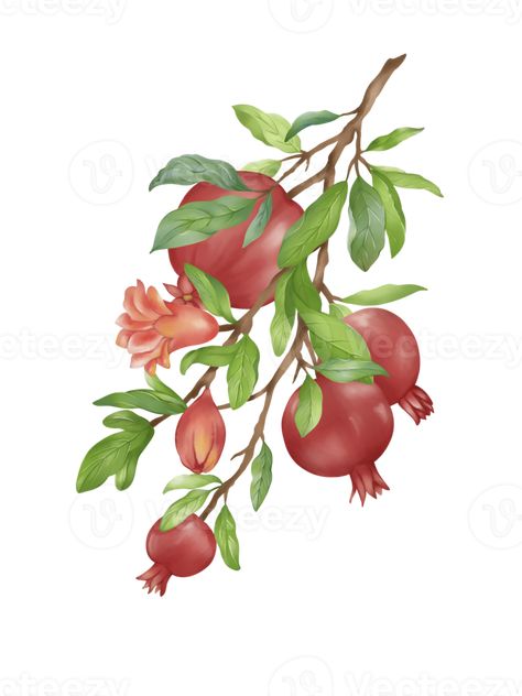 Pomegranate Branch, Green Leaves Watercolor, Yalda Night, Pomegranate Art, Leaves Watercolor, Pomegranate Fruit, Girl Artist, Red Pomegranate, Poster Layout