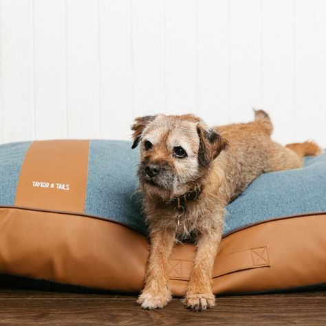 What Saturdays are made for! The ultimate in comfort, our dog mattresses are soft yet supportive. The perfect day bed for dogs that like to stretch out and snooze Discover our range here: www.taylorandtails.com/collections/premium-dog-mattresses Bed For Dogs, Nest Bed, Orthopedic Dog Bed, Day Bed, The Perfect Day, Bed Mattress, Easy Clean, Perfect Day, Dog Bed