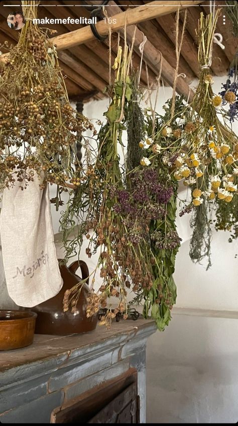 Herbs In Kitchen, Hanging Herbs, Cottage Aesthetic, Cozy Cottage, In Kitchen, Cottage Style, Malta, Ladder Decor, Vision Board