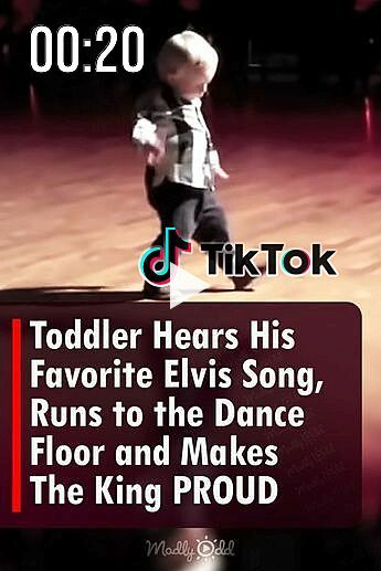 ✓✓✓At just two years old, William Stokkebroe became an overnight sensation when a video of him energetically dancing to Elvis Presley's "Jailhouse Rock" went viral. In the video, William, with no hint,