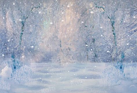 Kate Winter Snow Forest Dusk Backdrop for Photography Onederland Invitations, Winter Wonderland Background, Winter Wonderland Wedding Theme, Winter Wonderland Party Theme, Wonderland Wedding Theme, Christmas Photo Album, Cloth Backdrop, Background Winter, Winter Backdrops