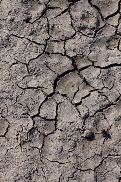 cracked, mud, dry, drought, lifeless, dirt, dehydration Cracked Ground, Texture Download, Theme Nature, Free Textures, Material Textures, Materials And Textures, The Soil, Patterns In Nature, Surface Textures