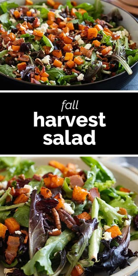 Filled with the flavors of fall, this Fall Harvest Salad is the perfect side dish for holidays or as a part of any dinner. Made with butternut squash, bacon, pecans, and dried cranberries, this is a salad you will want to make over and over again. Popular Salad Recipes, Harvest Fall Salad, Salad Autumn, Spring Mix Salad Recipes, Savory Potato Salad, Harvest Salad Recipes, Butternut Squash Bacon, Simple Salad Recipes, Cranberry Spinach Salad