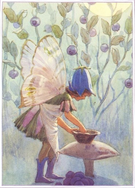 . Fruit Fairy, Margaret Tarrant, Fairy Paintings, Fairy Drawings, Fairy Illustration, Cicely Mary Barker, Fairy Artwork, Hur Man Målar, Fairies Elves