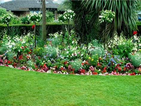 Garden Ideas Australia, Perennial Garden Design, Full Sun Garden, Border Flowers, Full Sun Flowers, Edging Plants, Bed Images, Full Sun Perennials, Garden Border