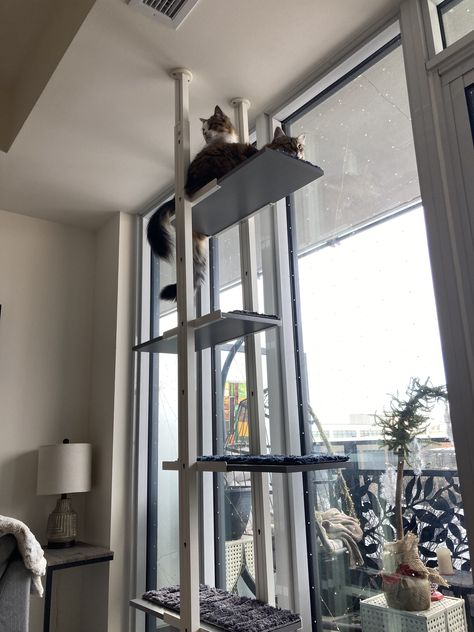 Elvarli Cat Tree, Window Cat Tree, Elvarli Ikea Hack, Elvarli Ikea, Cat Palace, Ikea Cat, Cool Cat Trees, Diy Cat Tree, Cat Wall Furniture