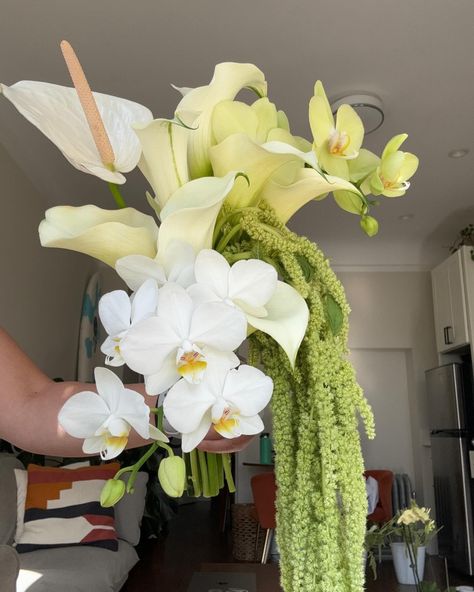 a special bridal bouquet for @kailanimitchell 🤍🕊️💍 Lavender Orchid Bouquet, Ethereal Flower Bouquet, Green Wedding Flowers Bouquet, Wedding Bouquets Orchids, Exotic Bouquet, Green Bridal Bouquet, Elopement Bouquet, Lime Green Weddings, Unique Bridal Bouquets