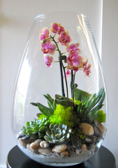 Beautiful Terrariums Diy, Orchid Terrarium Ideas, Orchid Terrarium Diy, Plants In Glass Containers, Plants Bedroom Aesthetic, Plant Ideas Indoor, Indoor Plant Hacks, Amazing Centerpieces, Indoor Plant Ideas