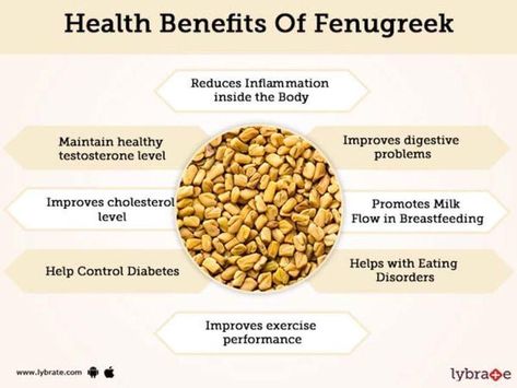 Fenugreek Tea Benefits, Fenugreek For Breast Growth, Fibroid Shrinking, Calories Chart, Benefits Of Fenugreek, Fenugreek Tea, Fenugreek Benefits, Fenugreek Oil, Home Remedies For Bronchitis