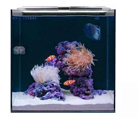 PRICES MAY VARY. 🐠 A Truly Complete Saltwater Tank Kit: Dive into the world of saltwater aquarium reef keeping with ease using Hello Reefs comprehensive starter kit, including everything you need to set up and maintain a stunning coral reef aquarium. 15 gallon aquarium, filtration, pump, powerhead, sand, rock, fish food, salt, heater, and more! 📚 Expert Guidance: Access exclusive guides, tutorials, and personalized support from seasoned aquarium keeping professionals, helping you to create and Clownfish Fish Tank, Black Sand Fish Tank, 100 Gallon Saltwater Aquarium, Black Sand Fish Tank Aquarium, Sand Rock, Rock Fish, Coral Reef Aquarium Saltwater Tank, Coral Reef Aquarium, Betta Fish Tank