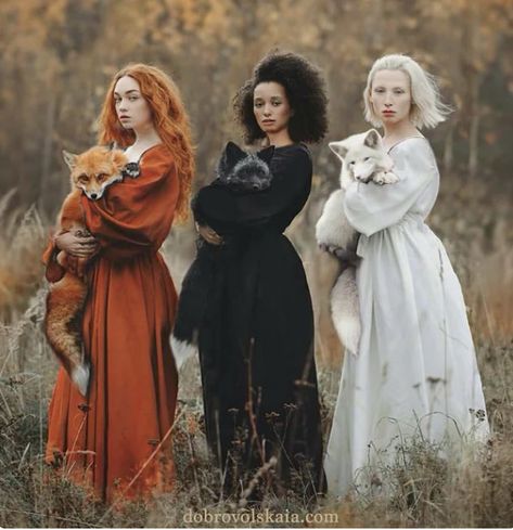 Mode Tips, Fairytale Photography, Shotting Photo, Three Women, Photographie Portrait Inspiration, Beautiful Cat Breeds, Fantasy Photography, Linnet, Arte Fantasy