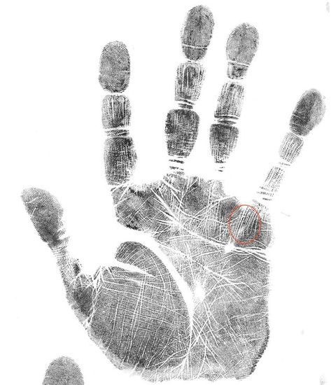 If you have four or more parallel lines under your pinkie finger, running towards your pinkie (little finger), you are what is known as a "gifted healer". You can see that this looks like here. Also scroll to bottom of the post for a hand print example.) Essentially, this is the mark of the personal… Parallel Lines, Palm Reading, Reading Lessons, Witchy Woman, Healthy Pregnancy, Hand Print, Book Of Shadows, Psychic, Reiki