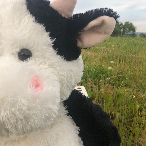 Cow Stuffed Animal Aesthetic, Cow Teddy Bear, Cow Teddy, Cow Plushies, Cow Stuffed Animal, Cow Plush, Moo Cow, Moo Moo, Boho Wallpaper