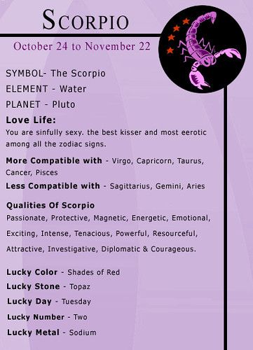 Zodiac Signs Scorpio Facts, Zodiac Sign Facts Scorpio, Scorpio Horoscope Art, Scorpio Soulmate Sign, Scorpio X Scorpio, Facts About Scorpio, Scorpio Zodiac Art, Scorpion Zodiac Sign, Scorpio Signs