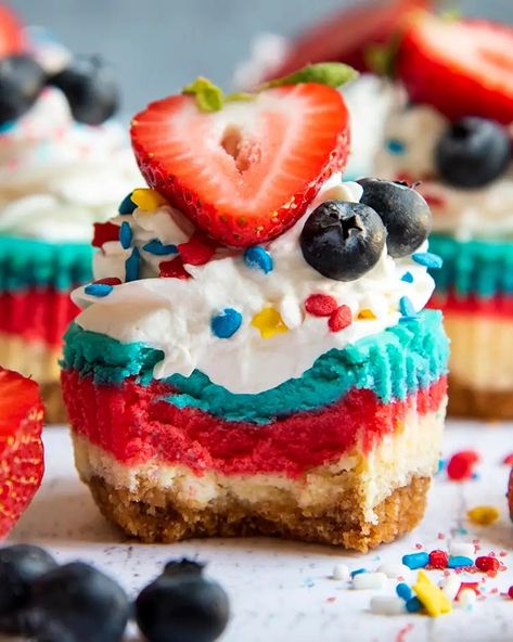 These red white and blue mini cheesecakes are the perfect small cheesecakes with a buttery graham cracker crust, smooth and creamy patriotic cheesecake, and topped with whipped cream and fresh fruit. They're perfect for a 4th of July celebration! Patriotic Cheesecake, Fourth Of July Barbecue, Small Cheesecakes, Like Mother Like Daughter, Blue Food Coloring, Cracker Crust, 4th Of July Celebration, Mini Cheesecakes, Graham Cracker Crust