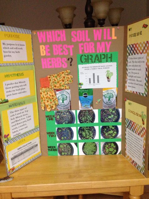 Science fair winner,  which is the best soil to use for my basil leaves? Agriscience Fair Projects, Sae Projects, Ag Science Projects, 4h Fair Projects, Science Fair Projects With Plants, Agriculture Projects For School, Science Fair Winners Projects, Soil Erosion Science Fair Project Board, Plant Science Fair Projects Boards