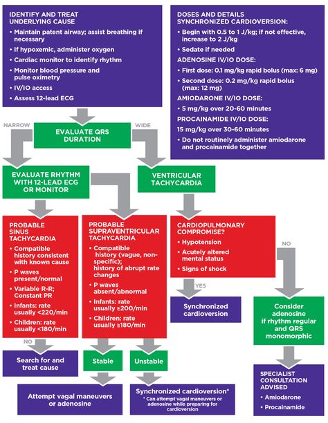 PALS Algorithms you Need to Know Pals Cheat Sheet, Pals Algorithm, Nursing Cardiac, Acls Algorithm, Nursing Apps, Crazy Nurse, Paramedic Student, Nursing Mnemonics, Pharmacology Nursing