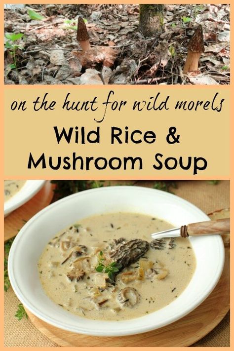 Wild Rice Mushroom Soup, Rice Mushroom Soup, Wild Rice Mushroom, Morel Mushroom Recipes, Soup With Mushrooms, Wild Mushroom Soup, Cooking Wild Rice, Mushroom Soup Recipes, Morel Mushroom