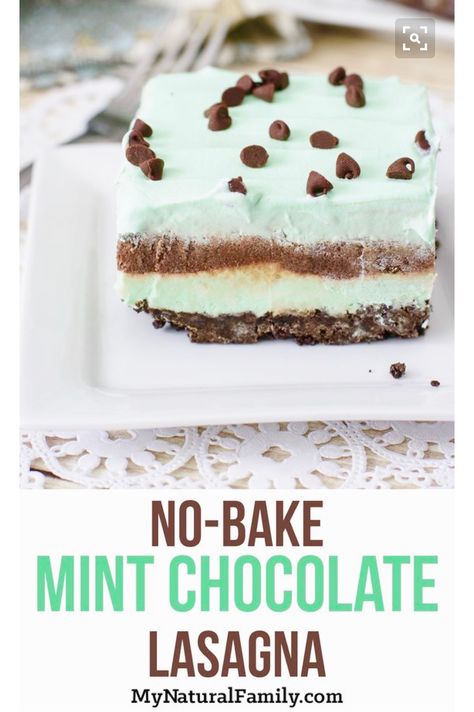 Sweet Lasagna Recipe, Turtle Creek Lane, Shamrock Shakes, Chocolate Lasagna Recipe, Protein Shake Recipe, Chocolate Lasagna, Shamrock Shake, Family Baking, Dessert Smoothie