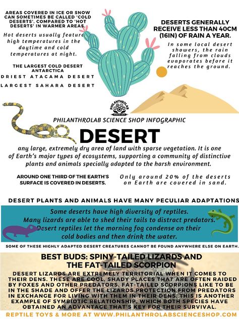 Learn sizzling facts of deserts and animal adaptations, Demo Reptile Waterproof Skin, and make a diorama craft of two best desert buds. Desert Biome Project Ideas, Desert Ecosystem Project, Types Of Ecosystems, Biome Project, Bio Project, English Books For Kids, Biomes Project, Eco Project, Ecosystems Projects