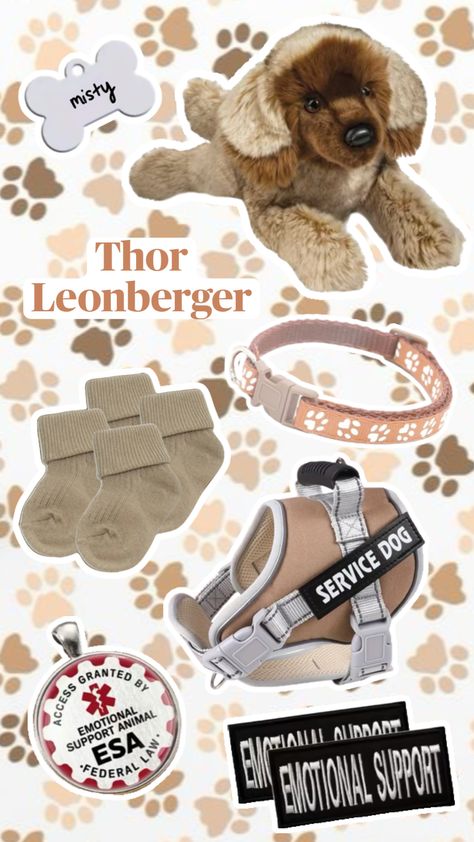 #douglasdog #leonberger #essa #agere #emotionalsupportstuffedanimal #ageregression #plushies #douglasplush #ageregressor #outfit #moodboard #aesthetic #outfitinspo #dogfashion Preppy Desk Decor, Leonberger Dog, Dog Sewing Patterns, Custom Lps, Christmas To Do List, Shepherd Dog Breeds, Emotional Support Dog, Dog Enrichment, Cute Sewing Projects