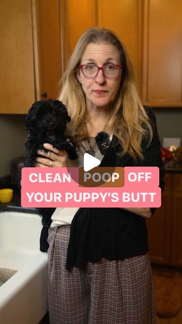 Sarah Hodgson on Instagram: "Here’s how to clean poop off a puppies butt 💩 

1️⃣ Put a towel on the floor of the tub! Dogs can get startled by unfamiliar surfaces, especially ones that are slippery 💦 Make sure to secure their hips and shoulders if you’re holding them

2️⃣ Take a cup or container and gently pour warm water over their bum 🚿

3️⃣ Lather them up with some puppy safe soap 🧼 and rinse 

4️⃣ Wrap them in a towel to dry and give them lots of love 🥰

-

#puppytraining
#puppy
#dogbathing
#dogtrainer" Floor Safe, Dog Bath, Dog Trainer, Puppy Training, Puppies, Flooring, Canning, Dogs