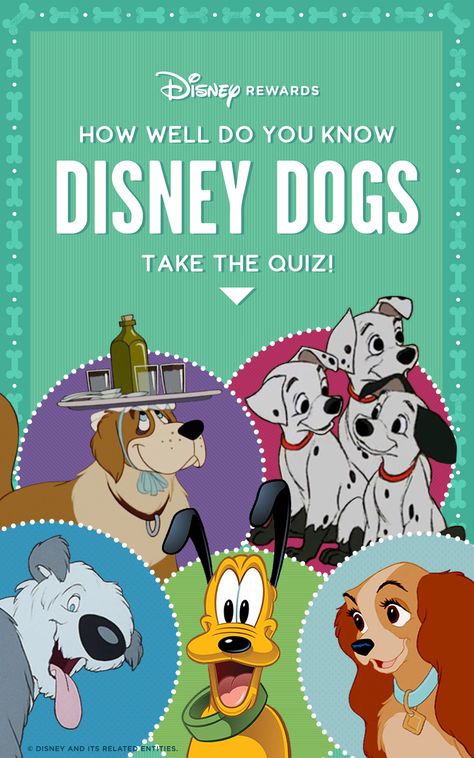 Dog Trivia, Dog Quizzes, Quizzes Disney, Buzzfeed Quizzes Disney, Dog Quiz, Film Quiz, Dog Infographic, Disney Sidekicks, Disney Quizzes