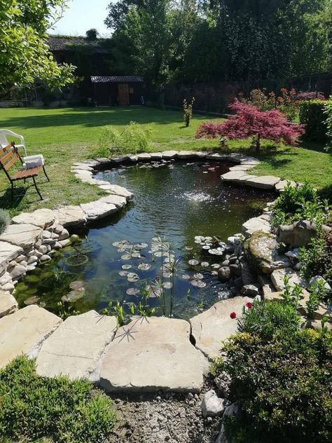 Pond In Front Yard, Yard Pond, Small Backyard Ponds, Small Backyards, Fish Pond Gardens, Garden Pond Design, Small Pond, Pond Ideas, Pond Water Features