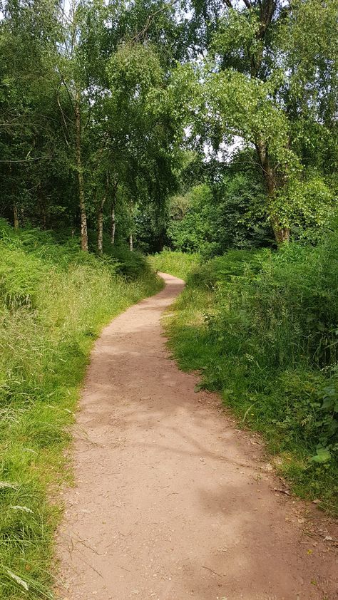 Road Side Background, Country Side Wallpaper, Country Side Aesthetic, Romantic Forest, Natures Path, Jogging Track, Dream Pictures, Areas Verdes, Beautiful Roads