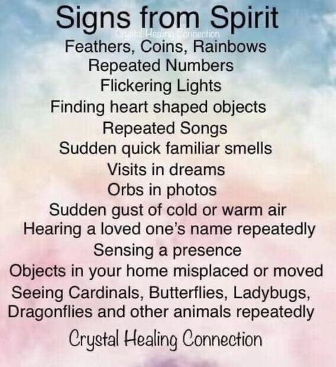 Spirit Guide Signs, Make Better Choices, Spirit Signs, Spiritual Awakening Signs, Spirit Communication, Angel Guide, Witch Spirituality, Wiccan Spell Book, Energy Healing Spirituality