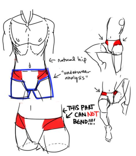 izizizizizi: “ hatofulhusbands: “ izizizizizi: “  hatofulhusbands replied to your post: i hate drawing men crotches and men legs and… “want me to give you some tutorials i have a whole... Torso And Legs Reference, Anime Leg Anatomy, Male Hip Reference, Pelvic Reference, Male Hips Drawing, Man Waist Drawing, Male Pelvis Anatomy, How To Draw Male Hips, Male Hip Anatomy