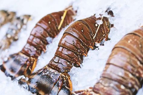 How To Cook Frozen Lobster Tail? Cooking Frozen Lobster Tails, Frozen Lobster Tails, Frozen Lobster, Steamed Asparagus, Lobster Tail, How To Cook Lobster, Garlic Mashed Potatoes, Freezer Burn, Lobster Tails