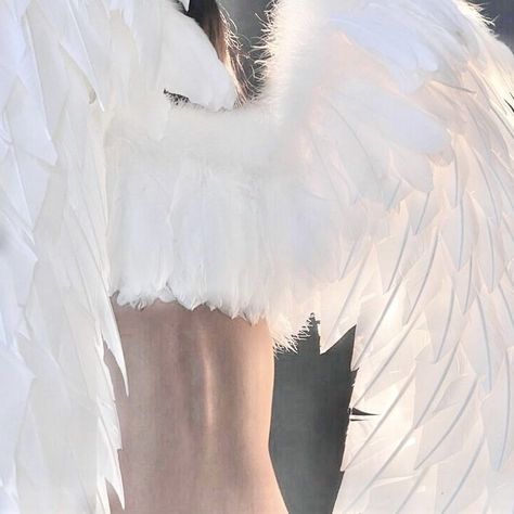 Angelcore Aesthetic White, Kyoko Sakura, Angelcore Aesthetic, Angel Aesthetic, White Wings, White Feathers, Blogger Girl, Fallen Angel, An Angel