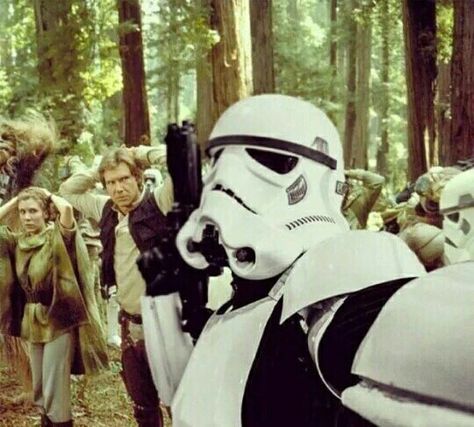 Stormtrooper Selfie Funny Star Wars Pictures, Star Wars Meme, Storm Troopers, Han And Leia, Star Wars Jokes, Image Film, Star Wars Film, Storm Trooper, Star Wars Pictures