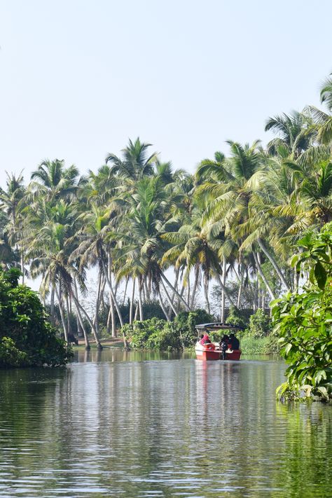 Poovar Island, located near Trivandrum in Kerala, offers a stunning blend of serene backwaters, golden beaches, and lush greenery. Visitors can explore the peaceful Poovar Beach, take a boat ride through the calm backwaters, and experience the confluence of the Neyyar River and the Arabian Sea. The island is also home to luxurious resorts, such as Club Mahindra Poovar, and provides a glimpse into traditional village life in Kerala, making it a perfect tranquil escape. Hidden Oasis, Kerala Backwaters, Golden Beach, Perfect Harmony, Sandy Beaches, Kerala, Oasis, The Magic, Paradise