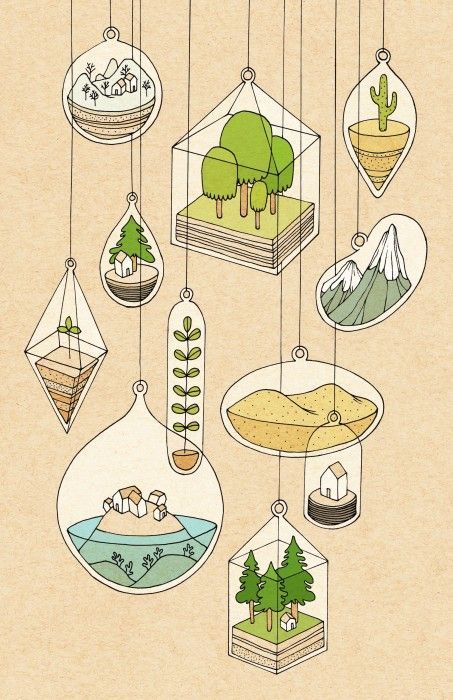 Rose Wong - Illustration / Terrariums • ink and digital Trees