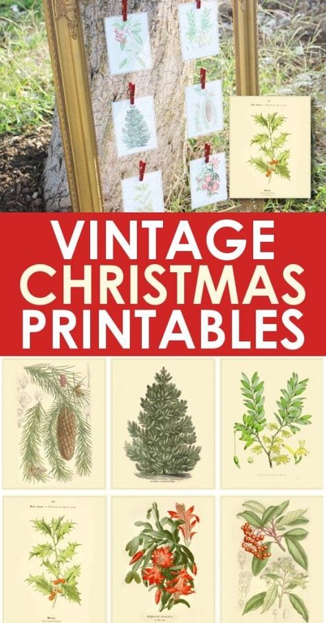 Free Christmas printables with a vintage twist are here! Get these 6 free vintage Christmas printables and add a pop of yesterday to your Christmas decor! Free Vintage Christmas Printables, Free Christmas Decor, Vintage Christmas Printables, Free Christmas Printables Vintage, Vintage Christmas Diy, Christmas Pictures Vintage, Japan Illustration, Vintage Christmas Images, Printable Images