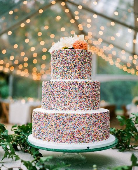 Sprinkle wedding cake idea - three-tier wedding cake with colored sprinkles {Cake Life Bake Shop} Fun Tiered Cakes, Sprinkles Wedding Cake, Two Tier Sprinkle Cake, Funfetti Wedding Cake Beautiful, Confetti Wedding Cake, Colorful Wedding Cake Ideas, Funfetti Wedding Cake, Wedding Cake Colorful, Colored Wedding Cake