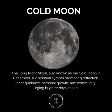 🌕✨ Embrace the ethereal beauty of the Cold Moon on December 26, 2023! Also known as the Long Night Moon, it graces the sky with its luminous presence during the heart of winter. Don't miss this celestial spectacle! ❄️🌌 #ColdMoon #CelestialMagic #WinterNight #LifeofGaia December Cold Moon, Hellenic Paganism, Cold Moon, The Longest Night, Long Night, Night Moon, Inner Guidance, Spiritual Symbols, December 26