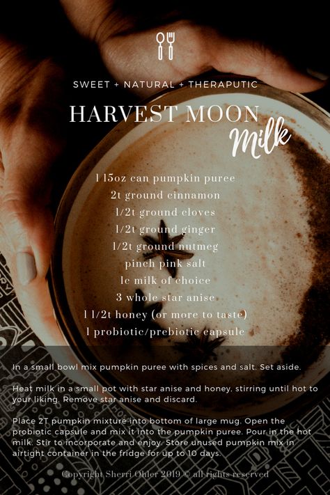 Cinnamon Moon Milk, Moon Cycle Cookbook, Sustainable Cafe, Witchy Recipes, Herbal Alchemy, Moon Milk Recipe, Benefits Of Cinnamon, Moon Food, Paleo Plan